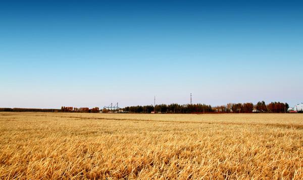 http://www.sunsis.cn